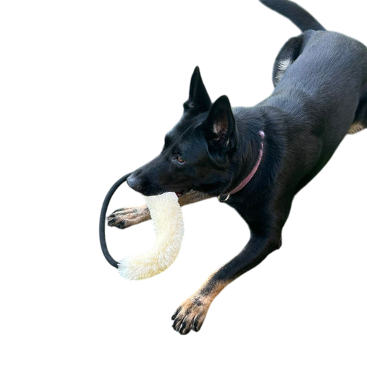 Bitco Dog Tug Toy – Real Sheepskin Tug with Durable Handle – Interactive Bite Toy for Training & Play – Assorted Colors. (Large 11X30) (Large)